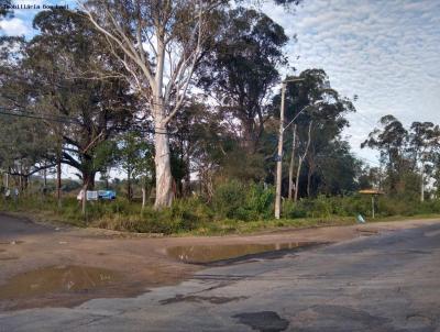 Terreno para Venda, em Porto Alegre, bairro LAMI